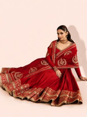 Red Embroidered Anarkali Gown Dress with Dupatta
