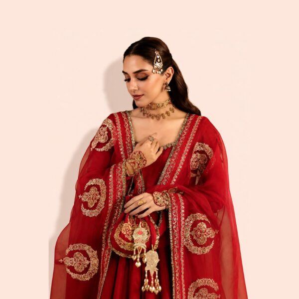 Red Embroidered Anarkali Gown Dress with Dupatta